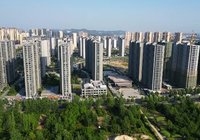 仲夏繁盛 境见美好｜紫金大院 最新工程进度播报